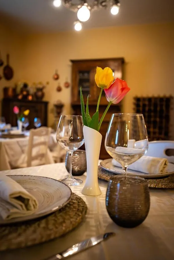 باربيرينو دي موجيلو Podere Belvedere 2*, باربيرينو دي موجيلو